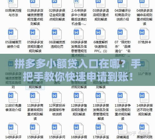 拼多多小额贷入口在哪？手把手教你快速申请到账！