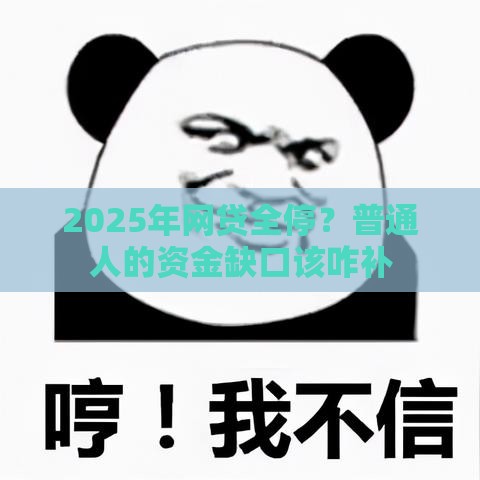 2025年网贷全停？普通人的资金缺口该咋补