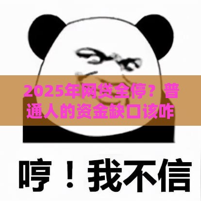 2025年网贷全停？普通人的资金缺口该咋补