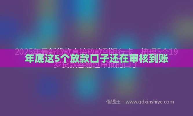 年底这5个放款口子还在审核到账