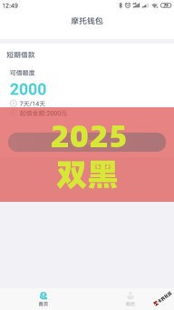 2025双黑逾期必下款口子？3个应急借款渠道实测解析