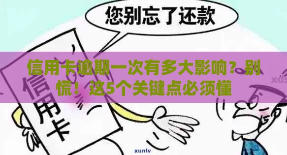 信用卡逾期一次有多大影响？别慌！这5个关键点必须懂