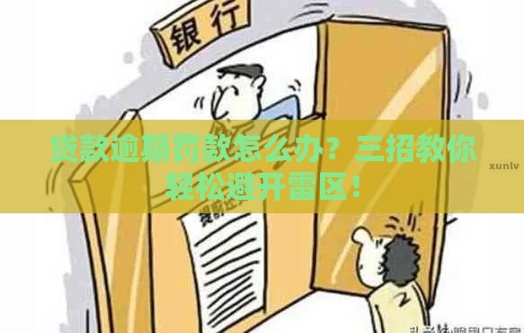 贷款逾期罚款怎么办？三招教你轻松避开雷区！