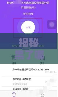 揭秘黑了哪些口子好贷款？这5个靠谱平台助你快速下款