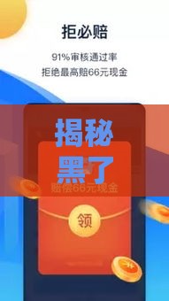 揭秘黑了哪些口子好贷款？这5个靠谱平台助你快速下款
