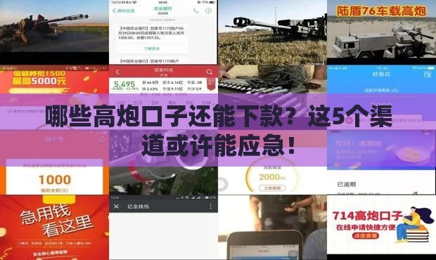 哪些高炮口子还能下款？这5个渠道或许能应急！