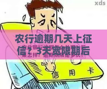 农行逾期几天上征信？3天宽限期后必看！补救方法全解析
