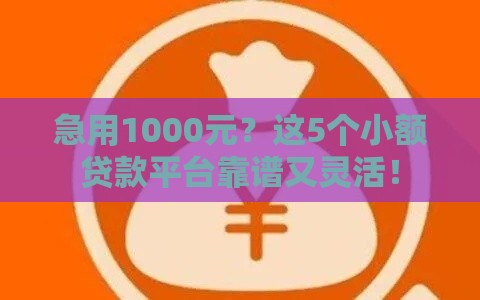 急用1000元？这5个小额贷款平台靠谱又灵活！