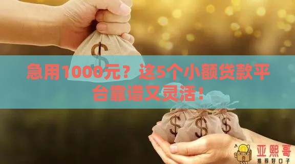 急用1000元？这5个小额贷款平台靠谱又灵活！