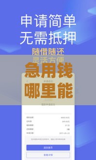 急用钱哪里能借？实测5个应急借款平台快速到账！