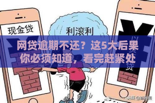 网贷逾期不还？这5大后果你必须知道，看完赶紧处理！