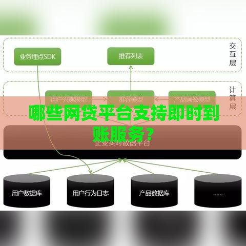 哪些网贷平台支持即时到账服务？