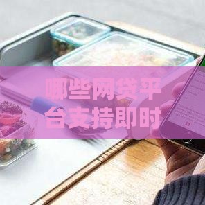 哪些网贷平台支持即时到账服务？