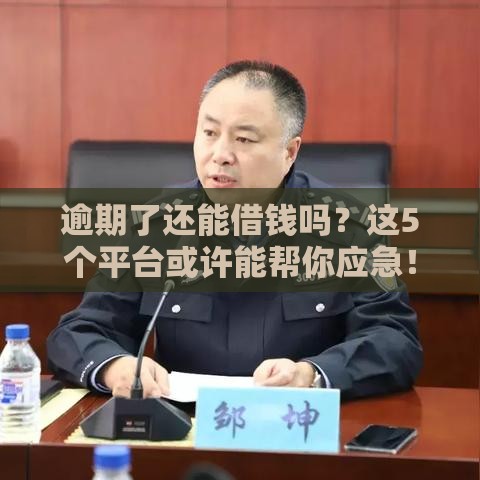 逾期了还能借钱吗？这5个平台或许能帮你应急！