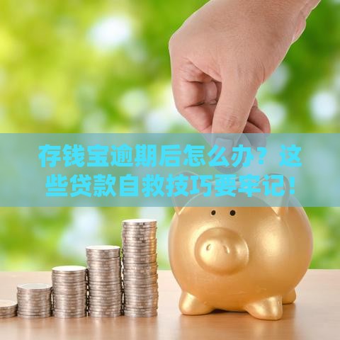 存钱宝逾期后怎么办？这些贷款自救技巧要牢记！