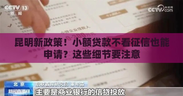 昆明新政策！小额贷款不看征信也能申请？这些细节要注意