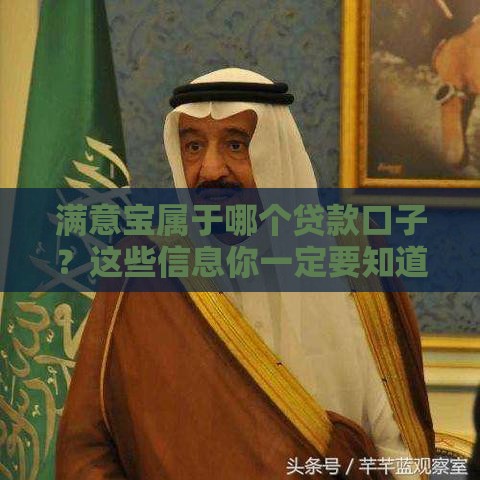 满意宝属于哪个贷款口子？这些信息你一定要知道！