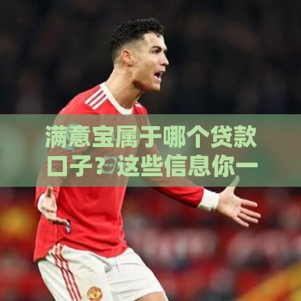 满意宝属于哪个贷款口子？这些信息你一定要知道！