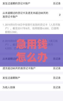 急用钱怎么办？试试不查征信的小额贷款1000元当天到账！