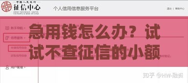 急用钱怎么办？试试不查征信的小额贷款1000元当天到账！