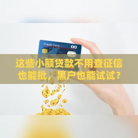 这些小额贷款不用查征信也能批，黑户也能试试？