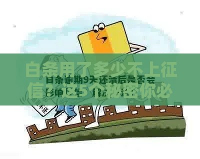 白条用了多少不上征信？这5个秘密你必须知道！