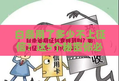 白条用了多少不上征信？这5个秘密你必须知道！