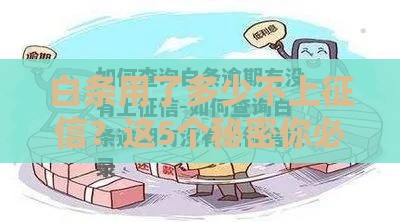 白条用了多少不上征信？这5个秘密你必须知道！