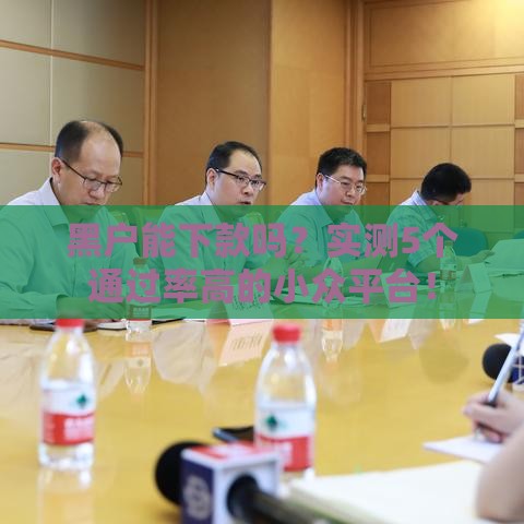 黑户能下款吗？实测5个通过率高的小众平台！