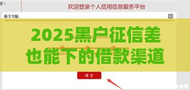 2025黑户征信差也能下的借款渠道全解析
