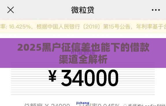 2025黑户征信差也能下的借款渠道全解析