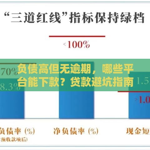 负债高但无逾期，哪些平台能下款？贷款避坑指南