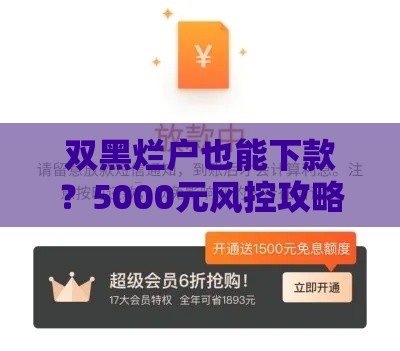 双黑烂户也能下款？5000元风控攻略实测有效！