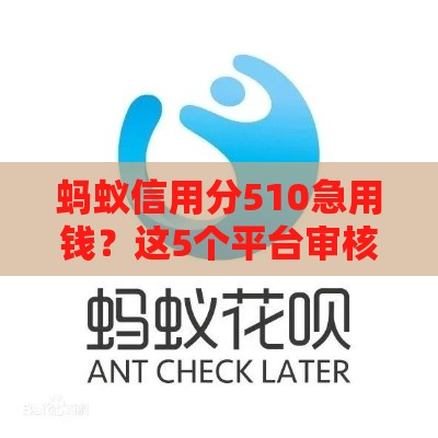 蚂蚁信用分510急用钱？这5个平台审核快秒下款