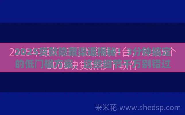 2025贷款隐藏渠道揭秘！3分钟搞定的低门槛方案，这些细节千万别错过