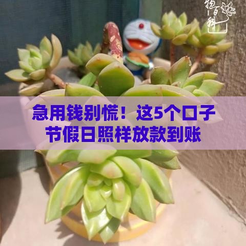 急用钱别慌！这5个口子节假日照样放款到账