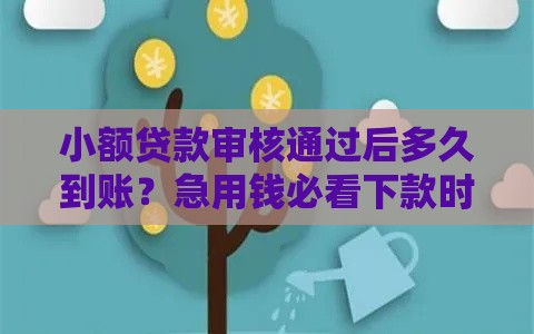 小额贷款审核通过后多久到账？急用钱必看下款时间