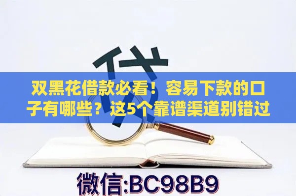 双黑花借款必看！容易下款的口子有哪些？这5个靠谱渠道别错过