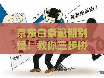 京东白条逾期别慌！教你三步协商分期技巧