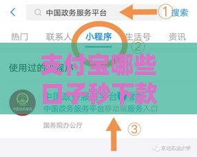 支付宝哪些口子秒下款？这5个渠道快速到账，应急必备！