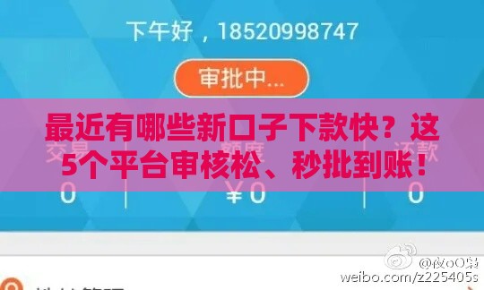 最近有哪些新口子下款快？这5个平台审核松、秒批到账！