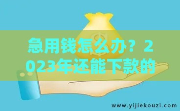 急用钱怎么办？2023年还能下款的5个靠谱贷款平台推荐！