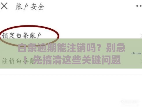 白条逾期能注销吗？别急！先搞清这些关键问题