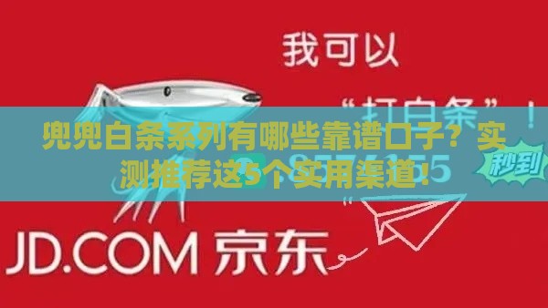 兜兜白条系列有哪些靠谱口子？实测推荐这5个实用渠道！
