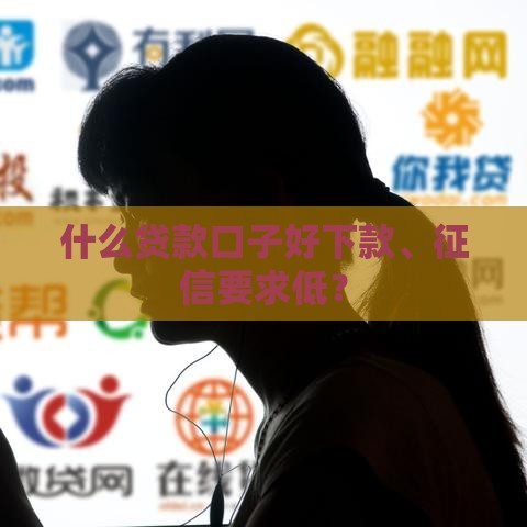 什么贷款口子好下款、征信要求低？