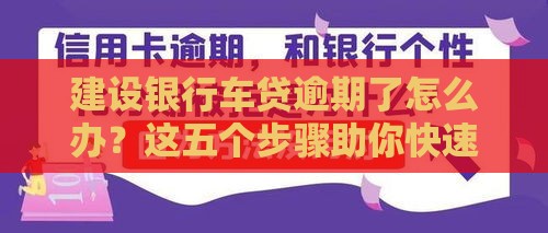 建设银行车贷逾期了怎么办？这五个步骤助你快速补救