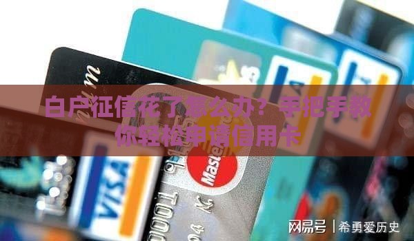 白户征信花了怎么办？手把手教你轻松申请信用卡