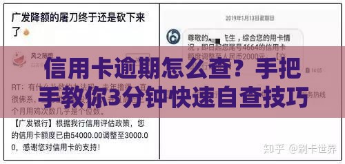 信用卡逾期怎么查？手把手教你3分钟快速自查技巧