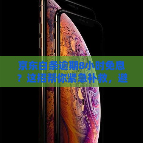 京东白条逾期8小时免息？这招帮你紧急补救，避免信用受损！