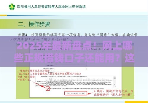 2025年最新盘点！网上哪些正规借钱口子还能用？这10个平台安全又靠谱